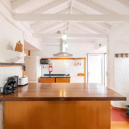 Lobo Do Mar Calheta de Nesquim