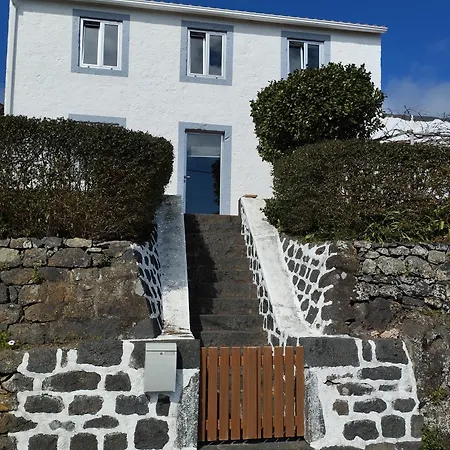 Lobo Do Mar Calheta de Nesquim