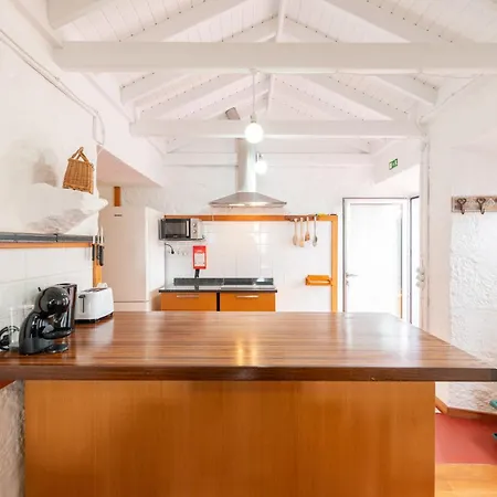 Lobo Do Mar Calheta de Nesquim