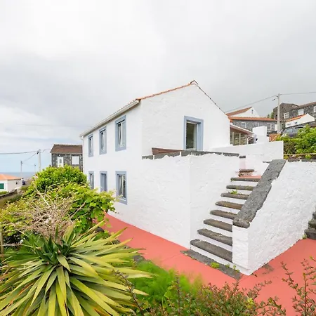 Lobo Do Mar * Calheta de Nesquim