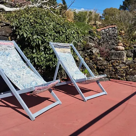 Lobo Do Mar * Calheta de Nesquim