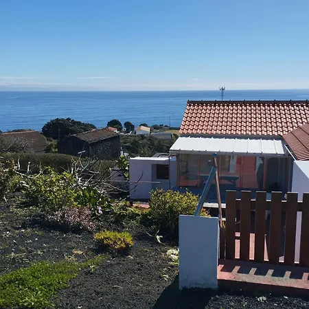 Lobo Do Mar * Calheta de Nesquim