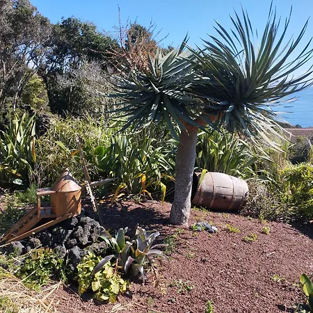 Lobo Do Mar Holiday home