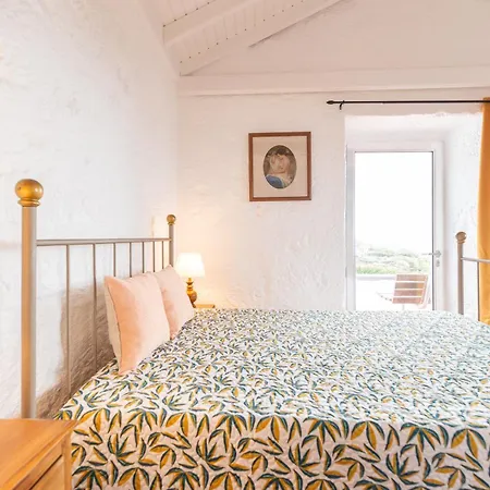 Lobo Do Mar Calheta de Nesquim