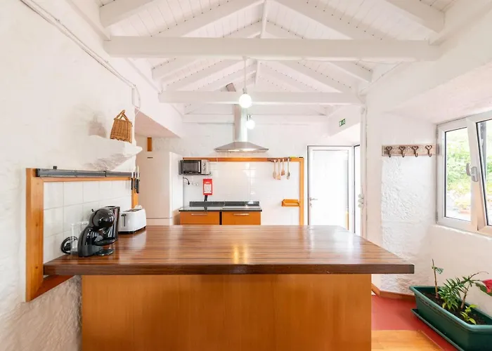 Lobo Do Mar Calheta de Nesquim