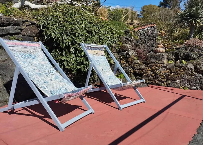 Lobo Do Mar * Calheta de Nesquim