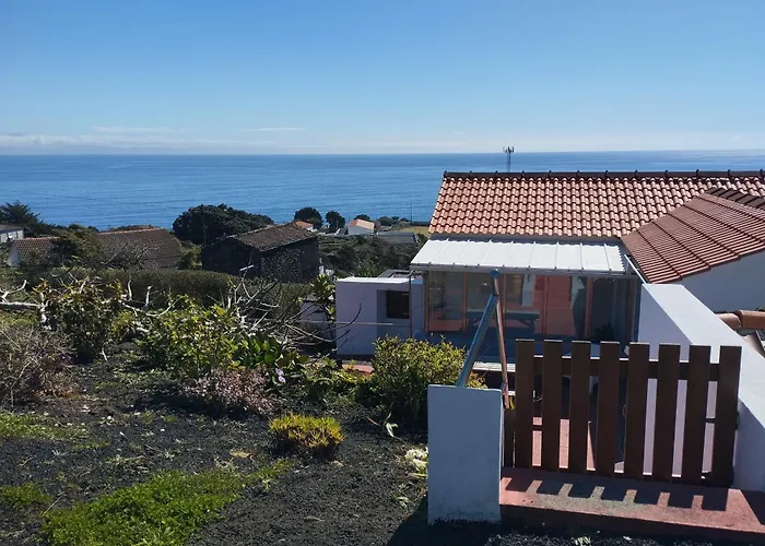 Lobo Do Mar * Calheta de Nesquim