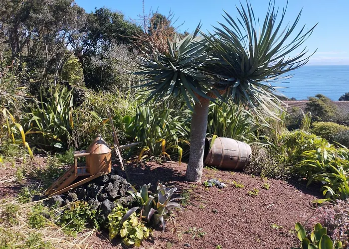Lobo Do Mar Holiday home