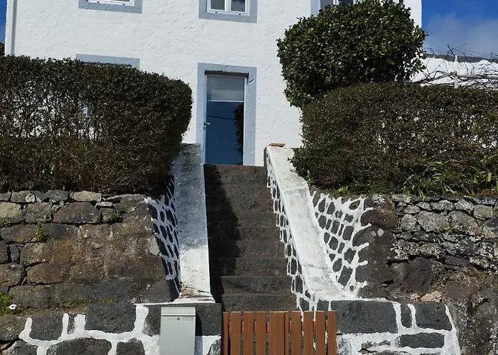 Lobo Do Mar Calheta de Nesquim