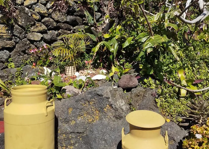 Lobo Do Mar * Calheta de Nesquim