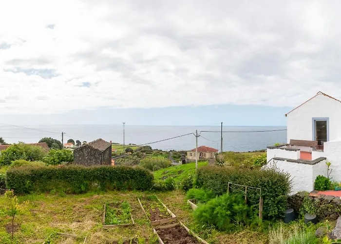 Lobo Do Mar Holiday home *