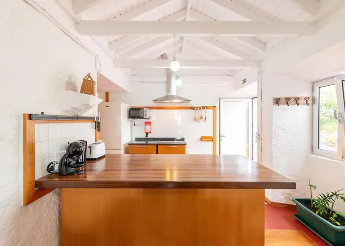 Lobo Do Mar Calheta de Nesquim