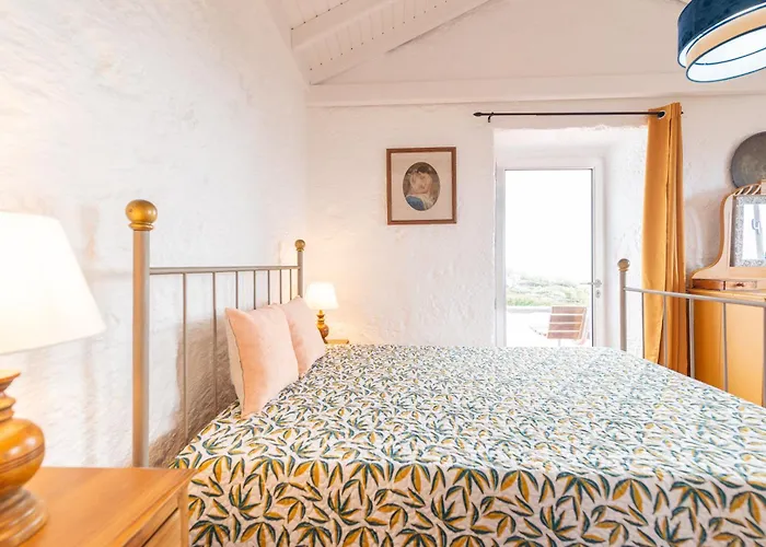 Lobo Do Mar Calheta de Nesquim